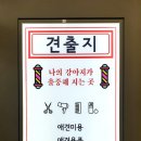 애견미용 견출지 노원점 이미지