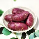 도시농장 이미지