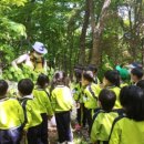 사직공원 유아숲 노컷뉴스