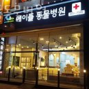 메이플동물병원 | 인천 원당동 동물병원 메이플동물병원 진료시간 접근성 이용후기