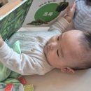 부릉부릉빵빵 이미지