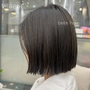 벨헤어 이미지