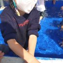 송곡유치원 이미지