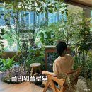 식물원 분위기 가득한 서울 대형카페 플라워플로우 후기