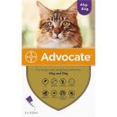 코지동물의료센터 이미지