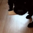 민철목장 이미지