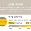세라스포츠 이미지