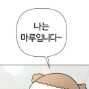 마루야 이미지
