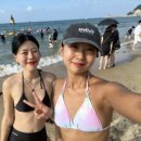 동백샤브샤브 이미지