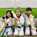 우진태권도 이미지