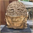 중구견인차량보관소 | [카페|대전 성심당 본점]대전 빵지순례 필수코스 성심당 본점 솔직 후기, 평일 웨이팅, 테라스키친