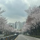 더리터서동