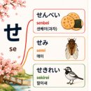 さ행 이미지