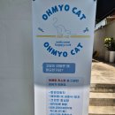 오묘 고양이카페호텔미용 | 오묘고양이카페호텔미용 : ) 대구 남구 고양이카페