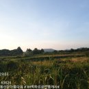 성읍리-4 이미지