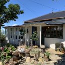 섬이랑나랑민박 이미지