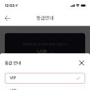 엠브이지(Mvg)호텔 이미지