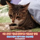 대은초등 이미지