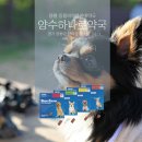 양평동물약국 이미지