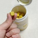 풀담 이미지