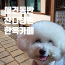 미소펜션 | [강릉]강릉 애견동반카페 목과원 l 잔디정원있는 한옥카페(실내동반가능)