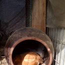 백봉농장 이미지