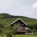 나만의 한평 정원 가꾸기 이미지