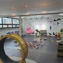 동물보육원 고양이 후원 카페 이미지