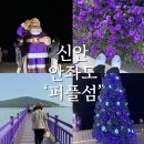[신안 안좌도] 퍼플교 축제 후기(입장료/길이/축제/카페 등)