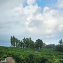 남원읍-42 이미지