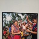 상업용 68 | 서울시립사진미술관 마틴 파 회고전 후기, 무료 전시 We are Martin Parr 관람 정보