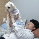 후니 피자 이미지