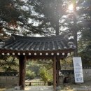 민들레울 | [포천 맛집] 맛있어서 연속으로 또간집, 고모리 민들레울