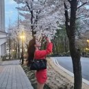 빨간머리 - 오산시 | 빨간머리