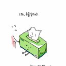 사물들 이미지