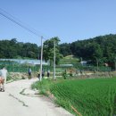 보천3리(방축) 이미지