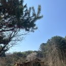 별하나나하나펜션