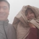 댓츠댕댕스쿨 이미지