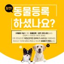 24시분당리더스동물의료원 이미지