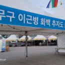 우정참굴비