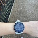 원선1로2 | [러닝워치 사용 후기] 코로스 페이스 3 1년 반 사용 후기/코로스 페이스 4 스펙 비교