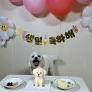 프프프 스토어 이미지