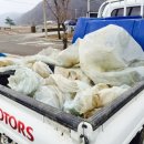 홍이농장 이미지