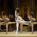 비상 -꿈 이미지