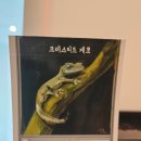 팀버렙타일 네이버블로그