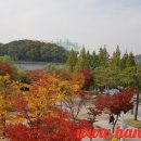 동백호수공원(광장) 이미지