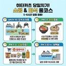 산토리민박 | 부산 대마도 배편 예약! 당일치기 vs 1박2일 일정 비교 및 가성비 숙소 추천 (2025 최신판)