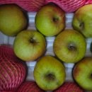 금당골농장 이미지