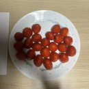 조은이티씨 | 어둠을 빛 삼아 난 널 찾아