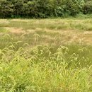 둥글둥글 이미지